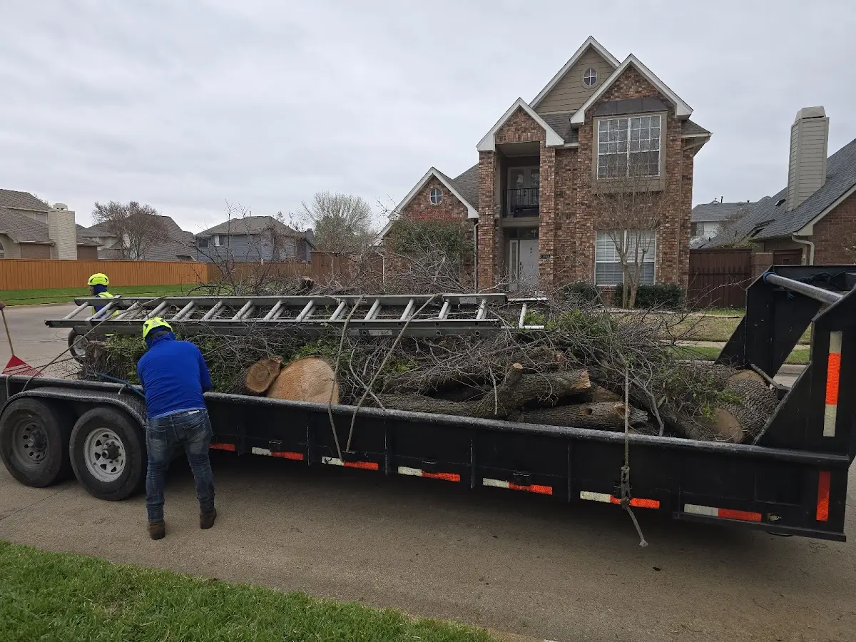 Expert Tree Removal with proper safety equipment in Harpster